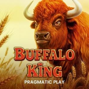 Buffalo King